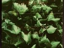 rare SINGLE FILE 7