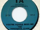 13TH FLOOR ELEVATORS You're Gonna Miss Me 60's US IA 7