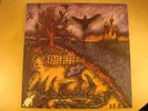 JIM COLLINS * dark creepy folk psych private press M/M-