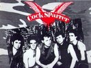 COCK SPARRER