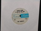 THE SUNSETS - THEME FROM A LIFE IN THE SUN - SURF GEM