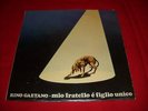 RINO GAETANO_MIO FRATELLO E' FIGLIO UNICO_It Zslt 70029