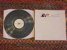 Pearl Jam Vs LP Marbled Epic Promo Import  NM Album OOP