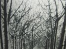 KOREAN FEMALE SOUL FUNK BREAKS PSYCH SYNTH DRAMA Hear