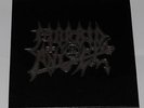 MORBID ANGEL Blessed Are The Sick vinyl box Rare OOP lp