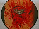 DISMEMBER - Indecent & Obscene - Picture-Disc *rar*
