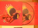 DAVID BOWIE MAN WHO SOLD LTD EDITION PICTURE DISC LP