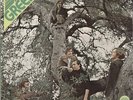 GREEN '69 TEXAS Psych Acid Archives favorite Hear