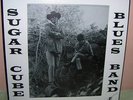 Sugar Cube Blues Band vinyl LP Rockadelic ltd ed psych
