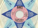 Morris Chestnut TOO DARN SOULFUL b/w YOU DON'T LOVE ME