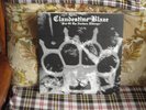 Clandestine Blaze: Fist Of The Northern Destroyer