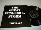RAZZ Great Punk Rock Storm8
