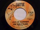 THE DAILY FLASH GARAGE ON PARROT REC LABEL #308  HEAR