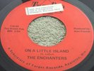THE ENCHANTERS  THERE'S A LOOK ABOUT YOU  RARE NORTHERN