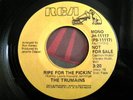* TRUMAINS Ripe For the RARE RCA MODERN SOUL 45 ?