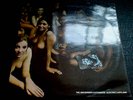 JIMI HENDRIX - ELECTRIC LADYLAND - TRACK 613008 - EX