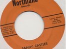 OBSCURE MI GARAGE/PSYCH 45 The Clouds Sandy Castles MP3