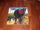 Blink 182 Dude Ranch vinyl record Enema of the state