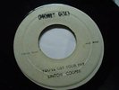 LINTON COOPER -YOU'LL GET YOUR PAY ROOTS REGGAE 45