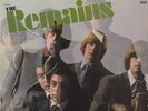 The Remains original Epic LP stereo 