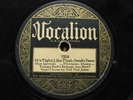 TAMPA RED'S HOKUM JUG BAND VOCALION 1228