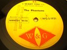 The Phantoms Garage Beat Rock  Sample Record 45