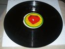 ORTHODOX/TO HAVE A HOME - VISIONAIRES [ROOTS REGGAE] LP