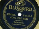 Bluebird 8510 WALTER DAVIS No Place To Go E+