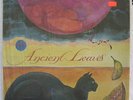 Private New Age LP Michael Stearns Ancient Leaves HEAR