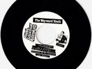 THE WAYWARD YOUTH PUNK VINYL 45   FINAL SOLUTION FS-001