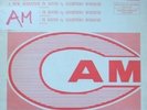CAM - BONESCHI -THEMATICS, RHYTHMS & ABSTRACTISMS ??