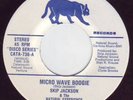 Skip Jackson - Micro Wave Boogie 45 CATAMOUNT Disco