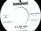 RAVIN BLUE It's Not Real 45 MONUMENT Rare GARAGE Hear