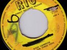 DION CAMERON & TREE TOPS/SKINHEAD REGGAE/RIO R106/EX