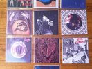 HOZAC HOOKUP Complete Dum Dum Girls Box Elders Teeth