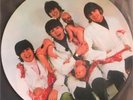 THE BEATLES YESTERDAY AND TODAY LP PIC DISC