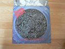 Morbid Angel
