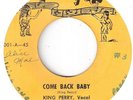 R&B ROCKER  KING PERRY   