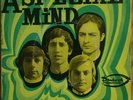 A SPECIAL MIND gold flake RARE EP psych fuzz garage