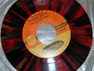 the spotnicks 45t couleur rare ref:president PRC 306