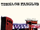 Teenage Fanclub Man-Made Vinyl - RARE - IMPORT
