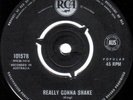 Fugitives OZ-2nd-45-Really gonna shake-'65-OZ-Beat-Surf