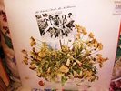 SEALED ?  1969 THE CHURLS   NO FLOWERS Garage NAZZ Punk