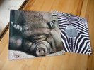 KIN PING MEH NO.2 IN 1972 MINT ZEBRA MONSTER KRAUTROCK