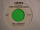 THE LINCOLNS : Come Along NW Garage Psych Mod 45 LISTEN