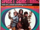 SWEET SOMETHINGS, HOLD ON,  QUEBEC Garage Soul