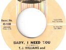 NORTHERN SOUL  T J  WILLIAMS  