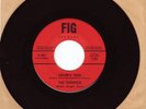 THE TERRIFICS - Lover's Plea - 45 rpm Fig 301 N.M.