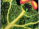 CATAPILLA Changes VERTIGO SWIRL UK RARE PROG LP AKARMA