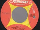 The Rites of Spring Garage Psych FUZZ 45 Parkway HEAR